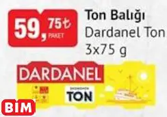 DARDANEL TON TON BALIĞI